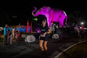 BIB: 
                            <button type="button" onclick="openModal(26552237)" class="btn btn-primary btn-sm float-right btn-popup" data-toggle="modal" data-target=".modal-high-quality">
                        <i class="fas fa-shopping-cart"></i> Add to Cart
                    </button>
                                            <button type="button" onclick="isThisMe(26552237, true)" class="btn btn-success btn-sm float-right btn-popup btn-isme hidden" data-toggle="tooltip" data-placement="bottom" title="นี่คือรูปของคุณใช่ไหม คลิกที่นี่เพื่อเอาเข้าอัลบั้ม">
                        <i class="fas fa-plus"></i> Add to album
                    </button>
                    <button type="button" onclick="isThisMe(26552237, false)" class="btn btn-warning btn-sm float-right btn-popup btn-isnotme hidden">
                        <i class="fas fa-ban"></i> Remove from album
                    </button>